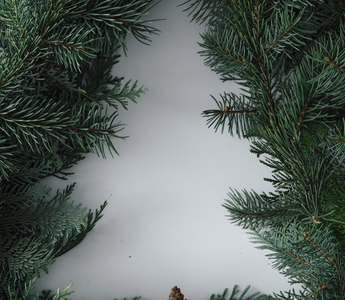 Geplatzte Weihnachtsfeier: Schadensersatz wegen absolutem Fixgeschäft?