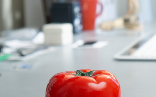 🍅 Pomodoro-Technik und italienische Tomaten: Effektiv lernen mit der Kraft des Timers