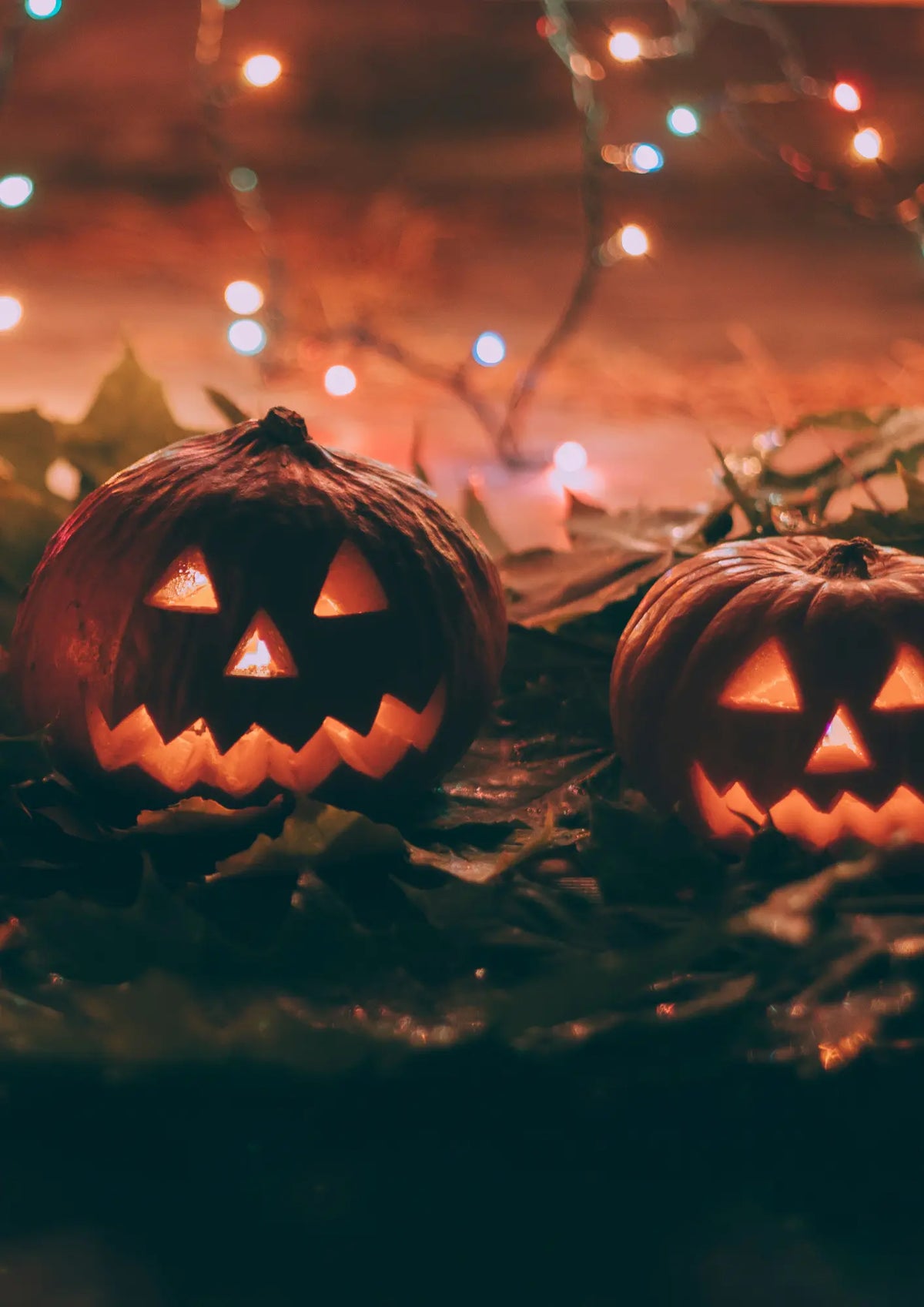 Halloween-Party an Allerheiligen verboten – Bayerischer VGH bestätigt Feiertagsschutz Law School Germany