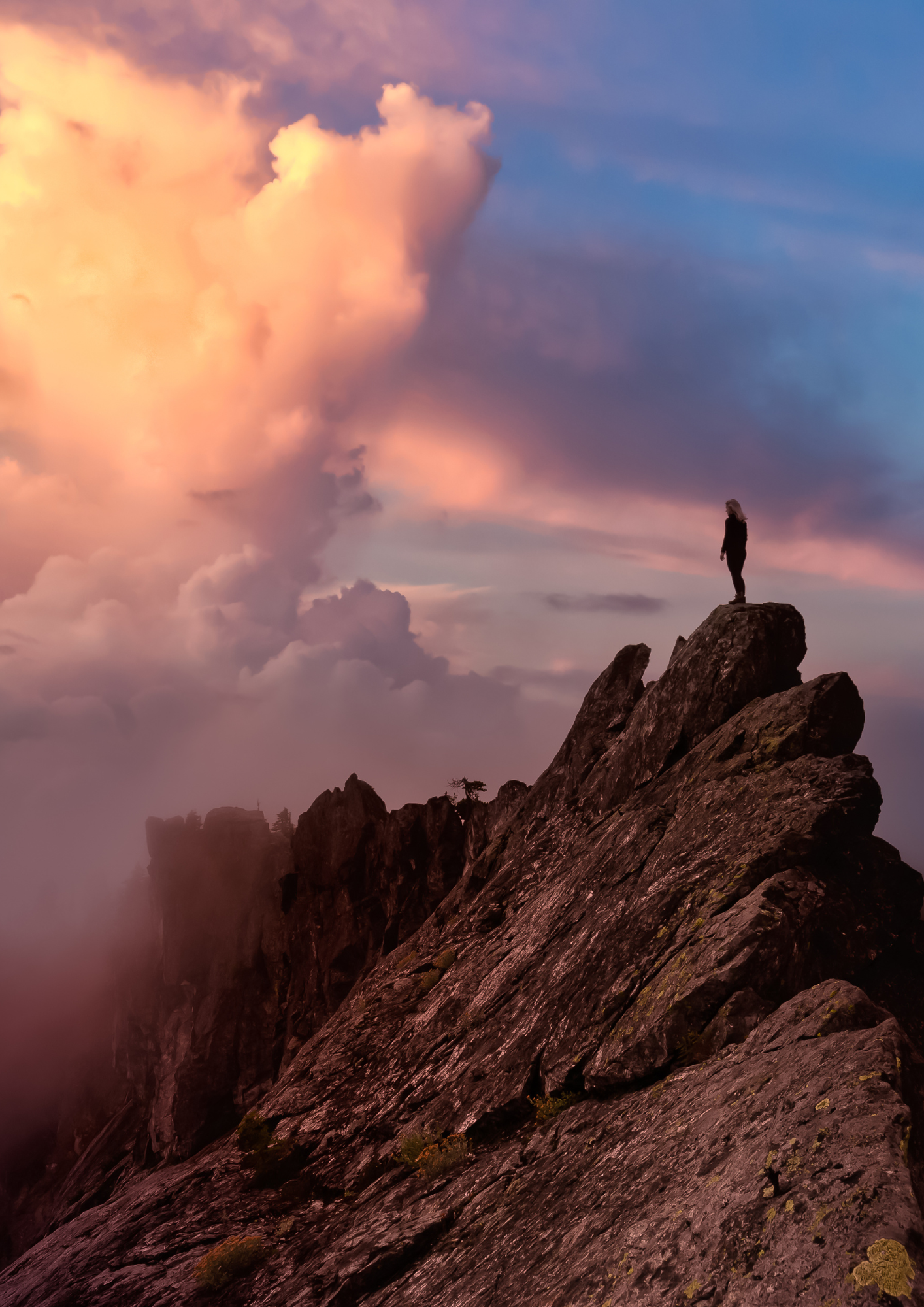 Prädikat im Jurastudium: Wie schafft man Spitzenleistungen?