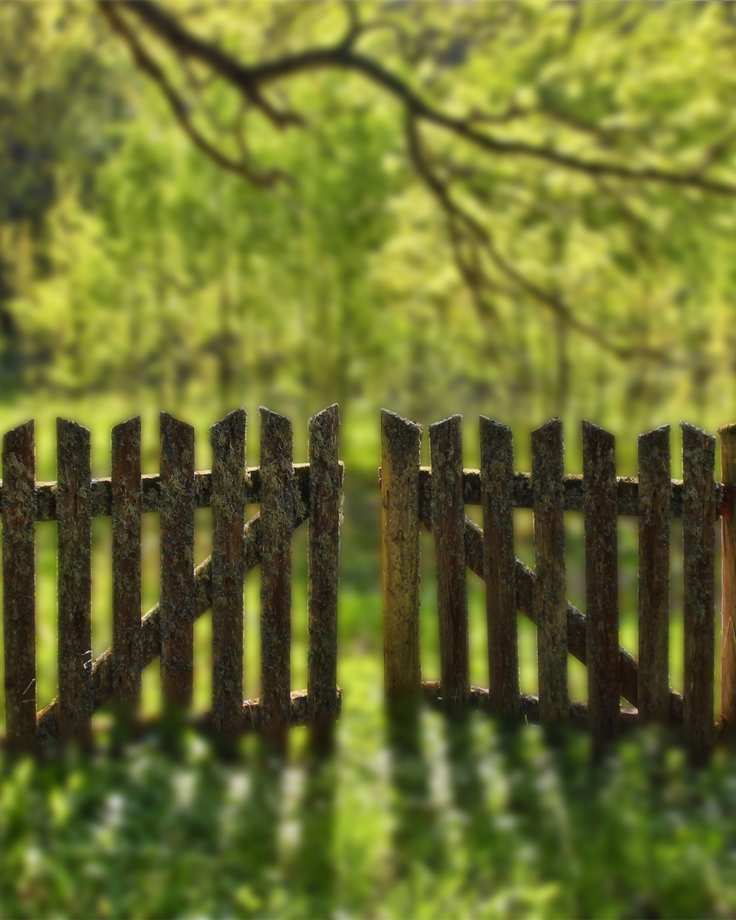 LG Köln, Urteil vom 21.10.2025 – 30 O 487/24