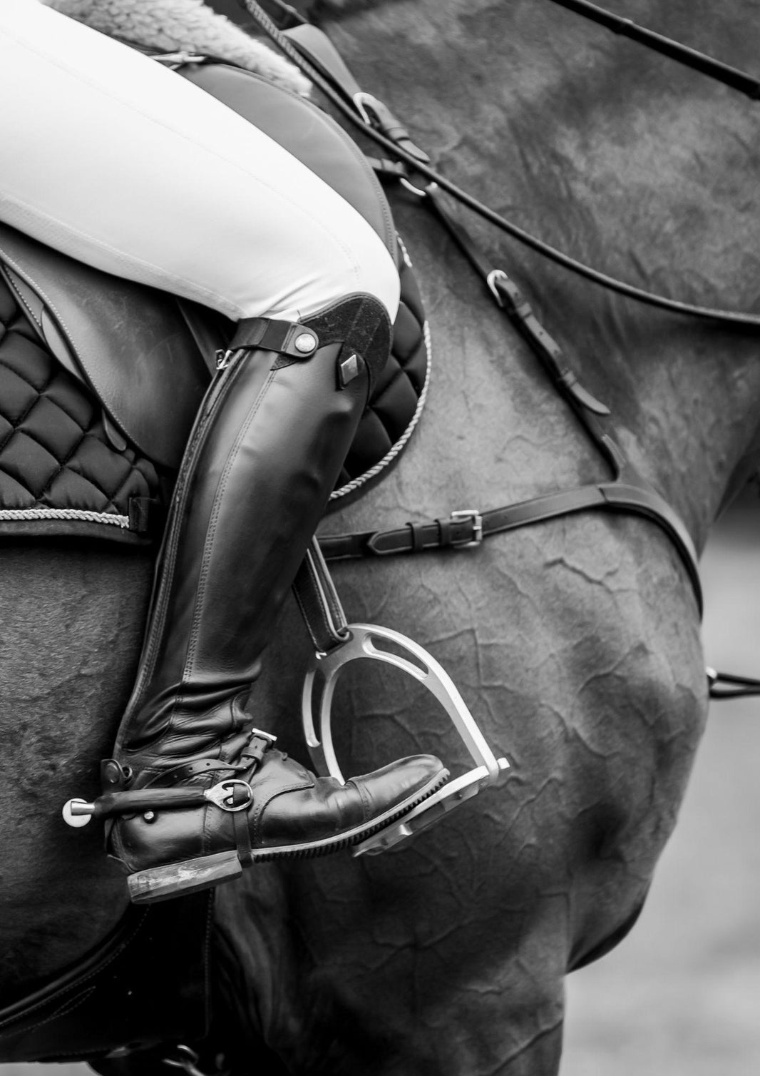 Ein Pferd mit Knieproblemen taugt nicht als Sportpferd und kann trotz vereinbartem Gewährleistungsausschluss zurückgegeben werden