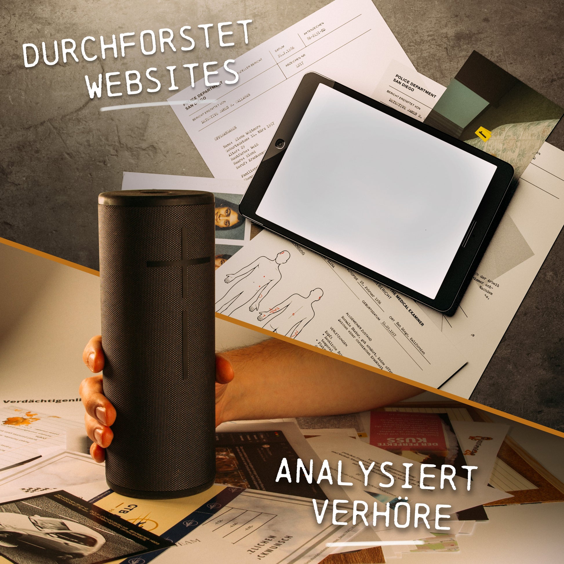 True Crime Spiel: Akte Fehltritt - Law School Germany